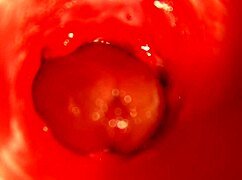 moaning orgasm in sweet hole with huge cock