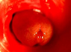 moaning orgasm in sweet hole with huge cock