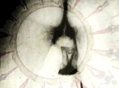 My Secret Life With Hairy Vintage Pussy