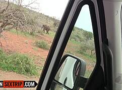 cheating ebony gf gets deep pounded by american big cock ex