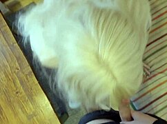 Stepmom asked me to fuck her and cum in her mouth