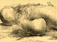 top twenty vintage drawings