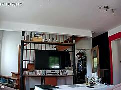 Petr jirmus spycam - aug 17 2025