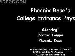 tampa university entrance physical - phoenix rose