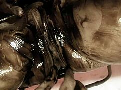 big boobed brunette jodi james covered in chocolate
